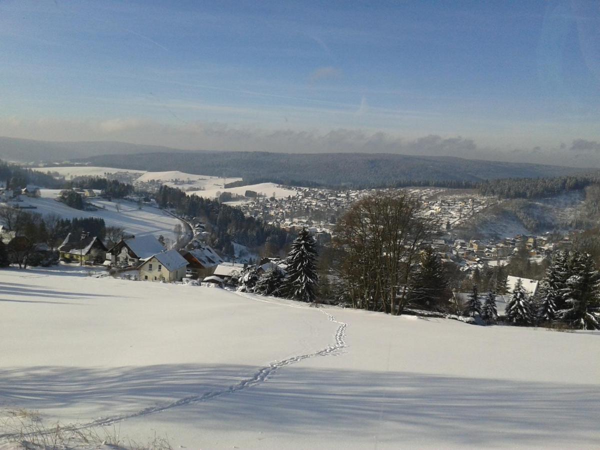 Ferienwohnung Doehlerwald Klingenthal Extérieur photo