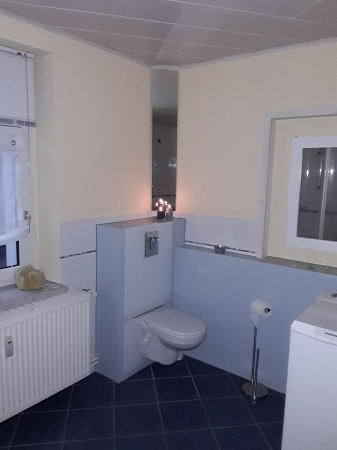 Ferienwohnung Doehlerwald Klingenthal Extérieur photo