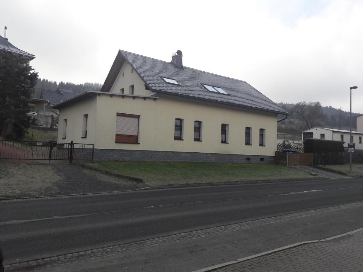 Ferienwohnung Doehlerwald Klingenthal Extérieur photo