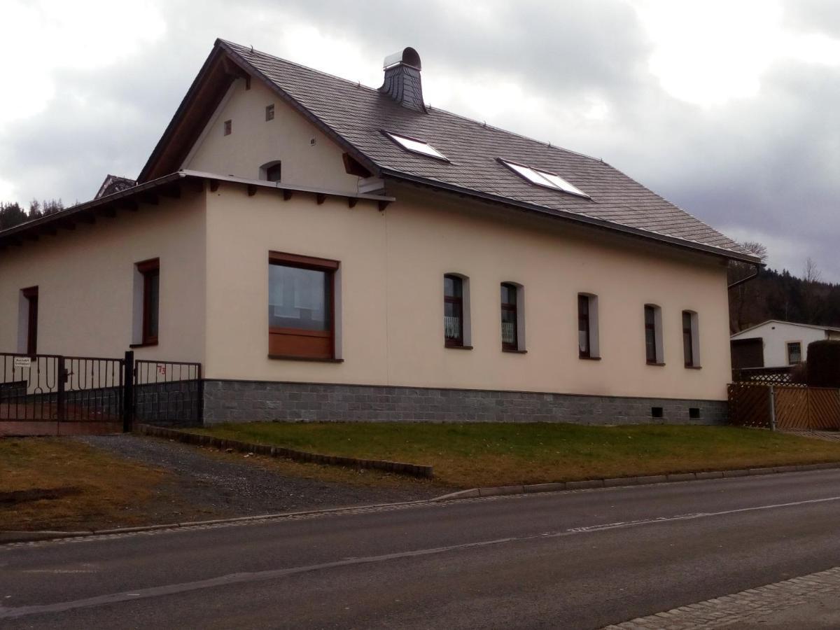 Ferienwohnung Doehlerwald Klingenthal Extérieur photo